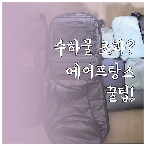 에어프랑스 수하물 초과 요금표와 온라..