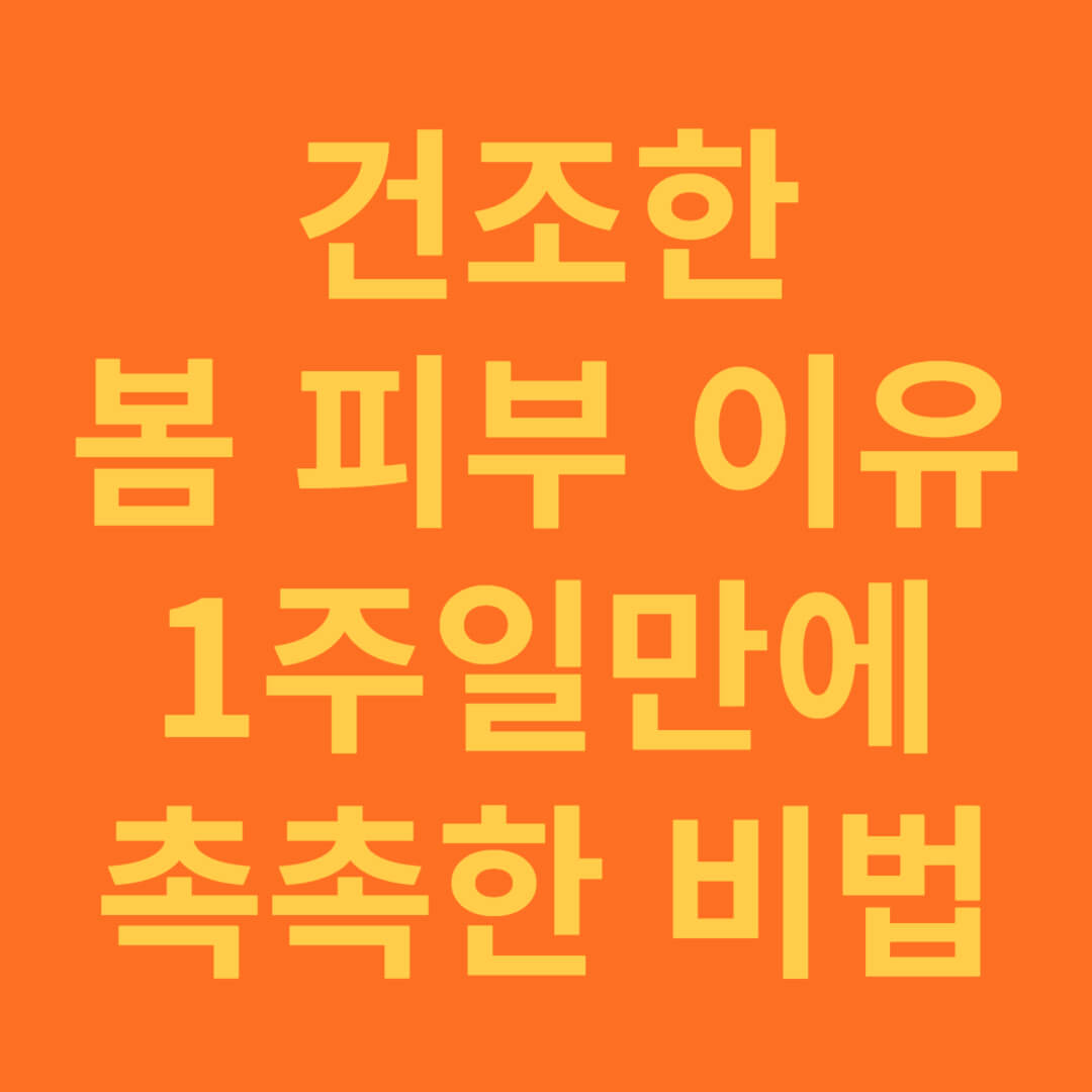 봄철 건조한 피부 이유와 1주일에 촉촉한 피부 만드는 방법