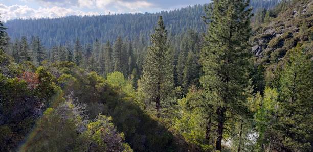 국립자연휴양림-예약-꿀팁
