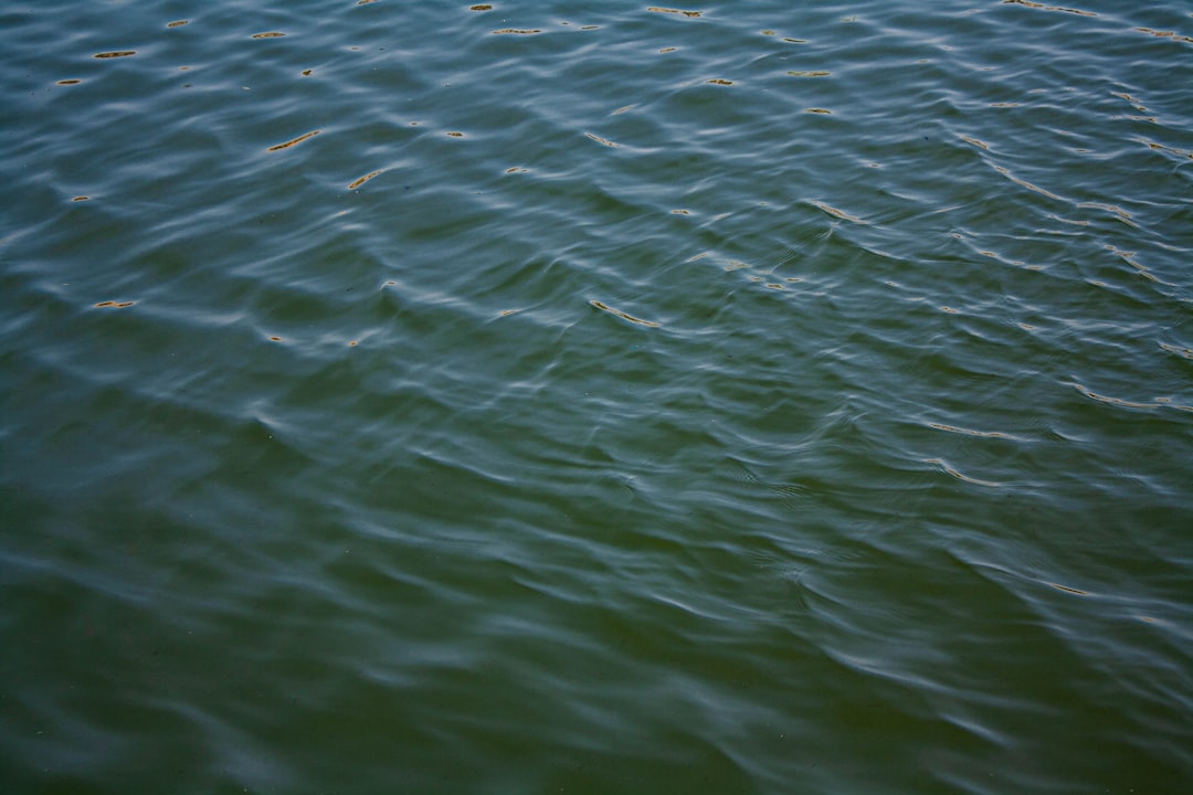 'Water'