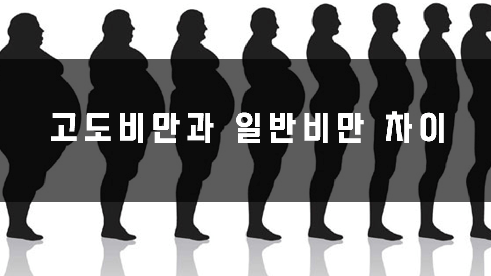 고도비만과-일반비만-차이