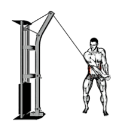 Cable Woodchop low 복사근 수축 동작