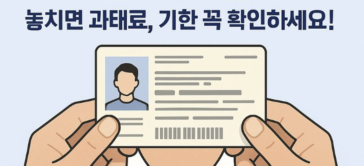 운전면허 적성검사 갱신 기한 꼭 확인하세요