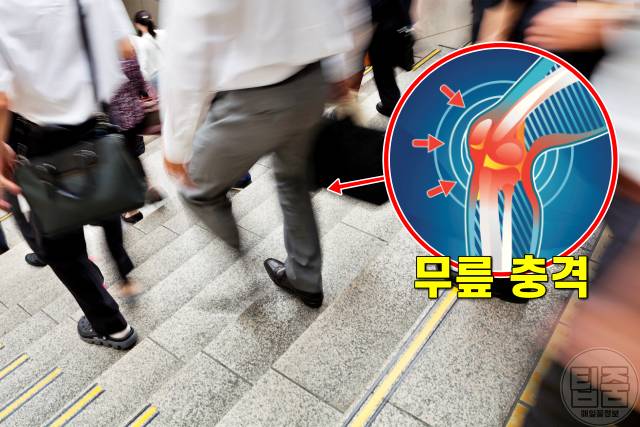 무릎 아플때 가는 병원 의사쌤,무릎이 돌아가면,무릎에 안좋은 계단