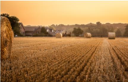 5월 국내여행지 베스트 10