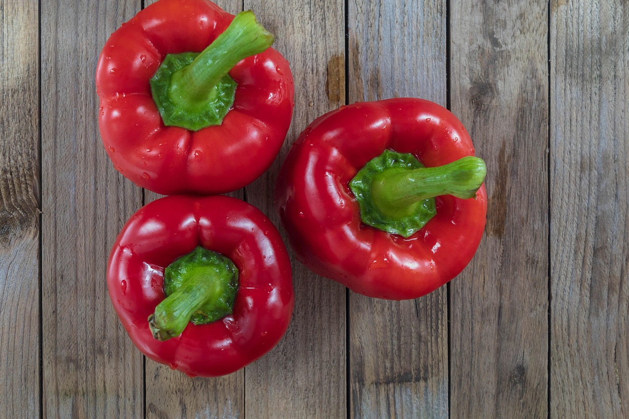 스마트 수직농장 환기와 통풍 장치