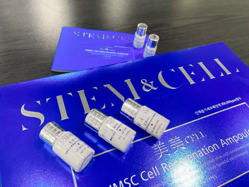 스템앤셀 가격 효능 사용 후기