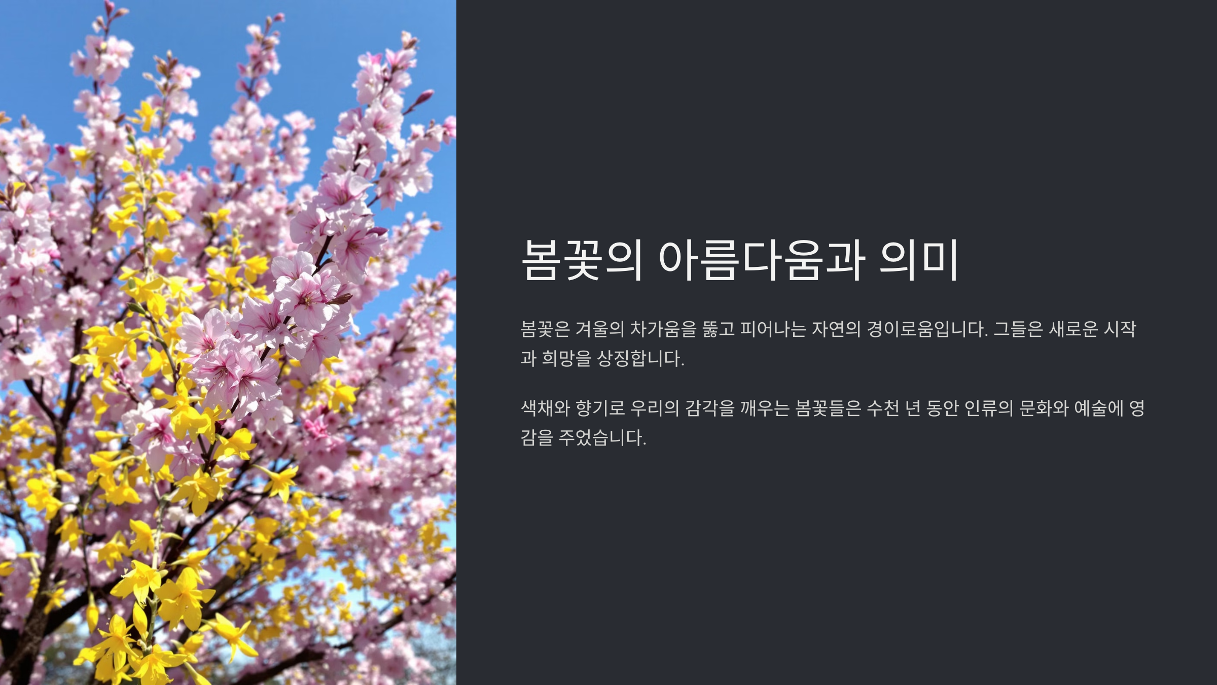 봄꽃 종류와 이름 그리고 그 의미