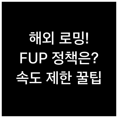 해외 출국 전 확인 필수 로밍 데이터..