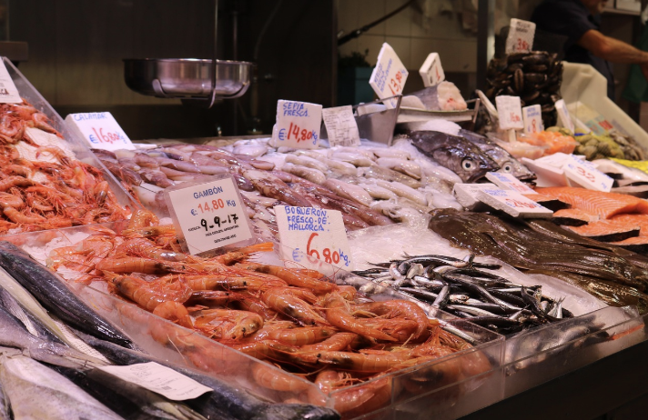 수산업의 변화 – 바다 온도 상승으로 인한 어종 이동과 어업 피해