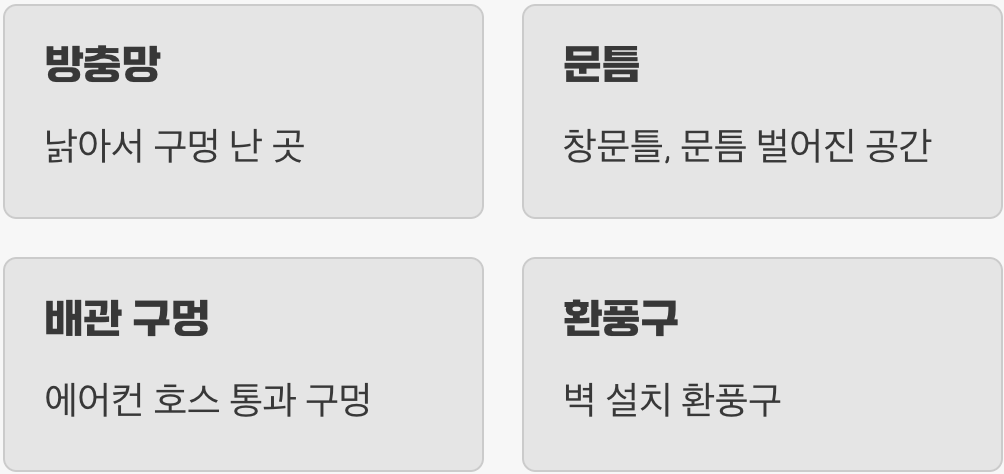 우리 집의 숨겨진 비밀 통로