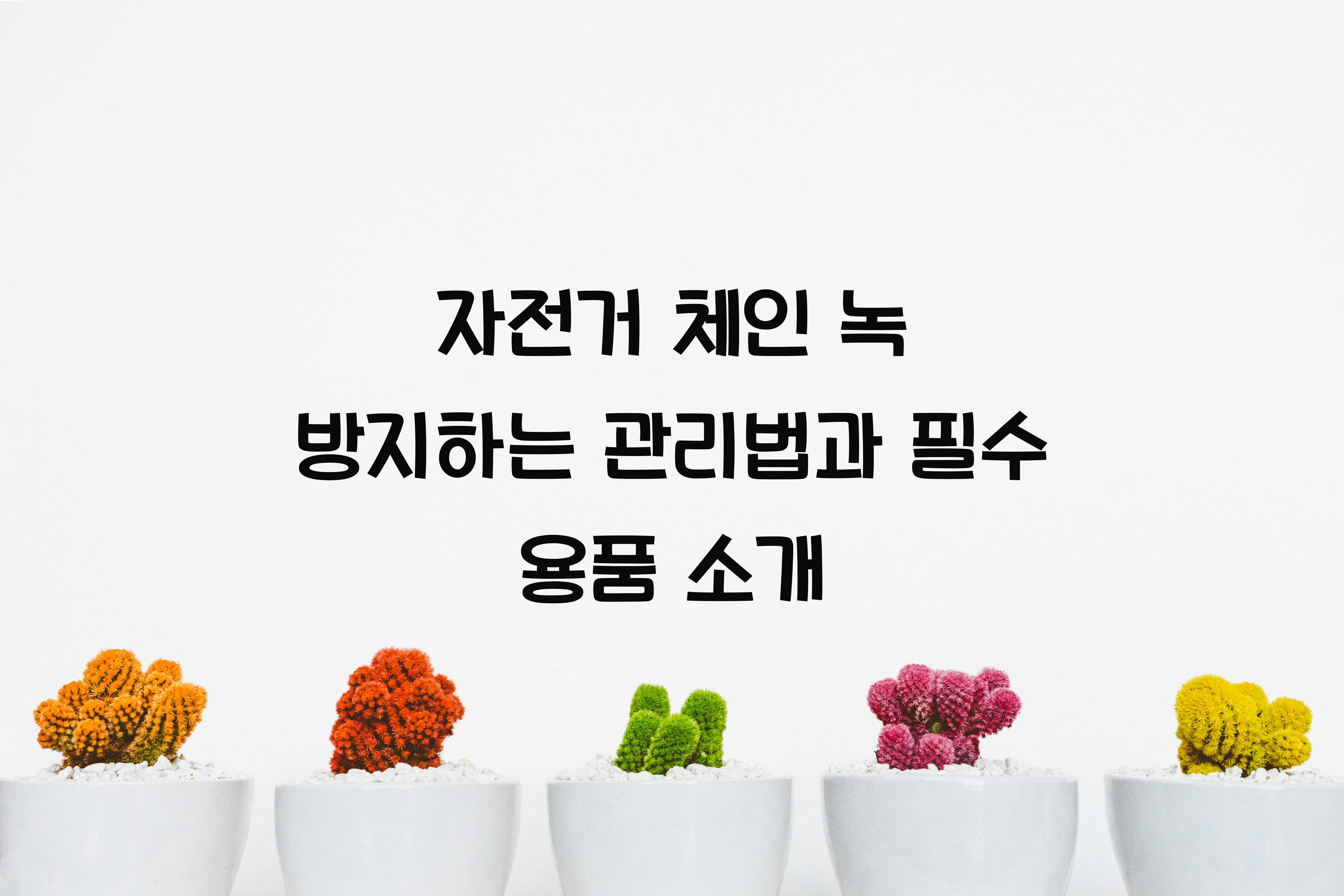 자전거 체인 녹 방지하는 관리법