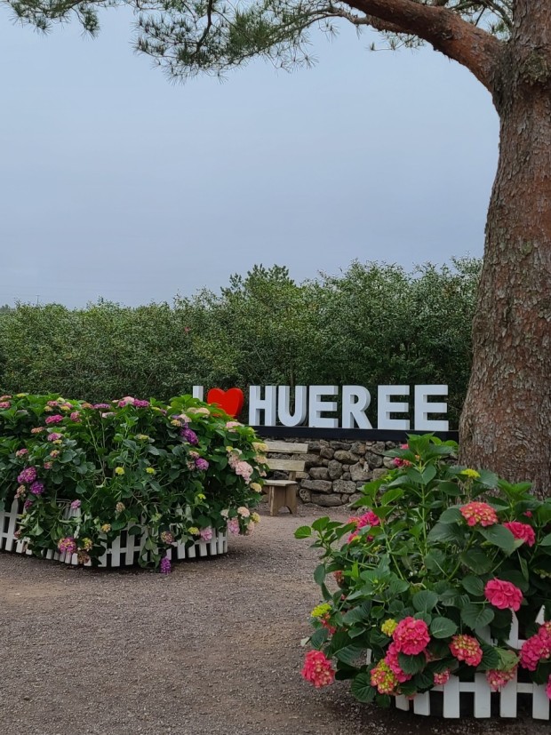 제주도 가볼 만한 곳 10곳