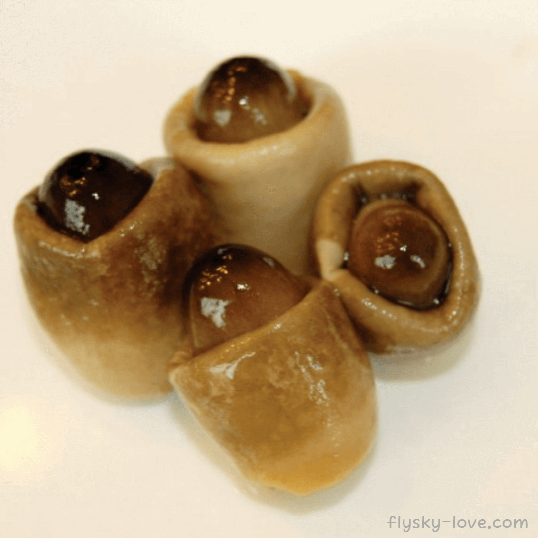 초고버섯 고르는 법