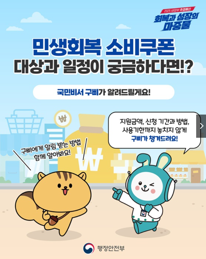 민생안전 소비쿠폰