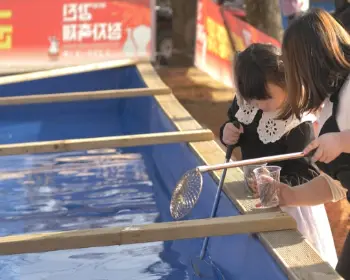 강진 청자 축제_14