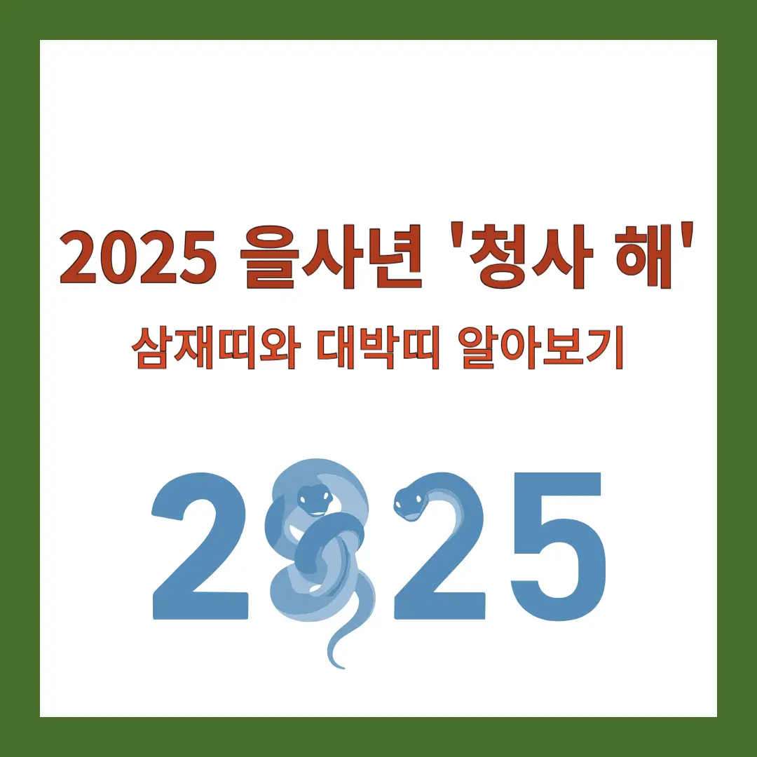 을사년-삼재띠