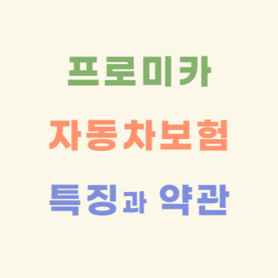 프로미카-곰두리-자동차보험-특징과-약관-정보