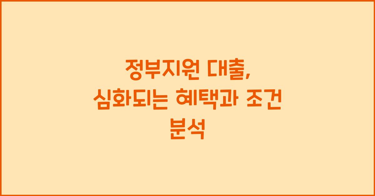 정부지원 대출