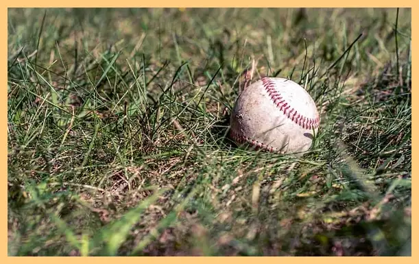 야구 결과 오늘 한국 도미니카 (하이라이트 동영상)