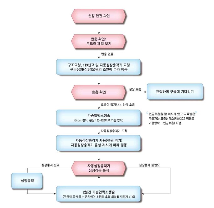 심폐소생술 순서(일반 구조자용)