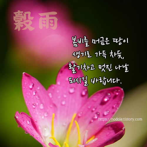 곡우-카톡-이미지