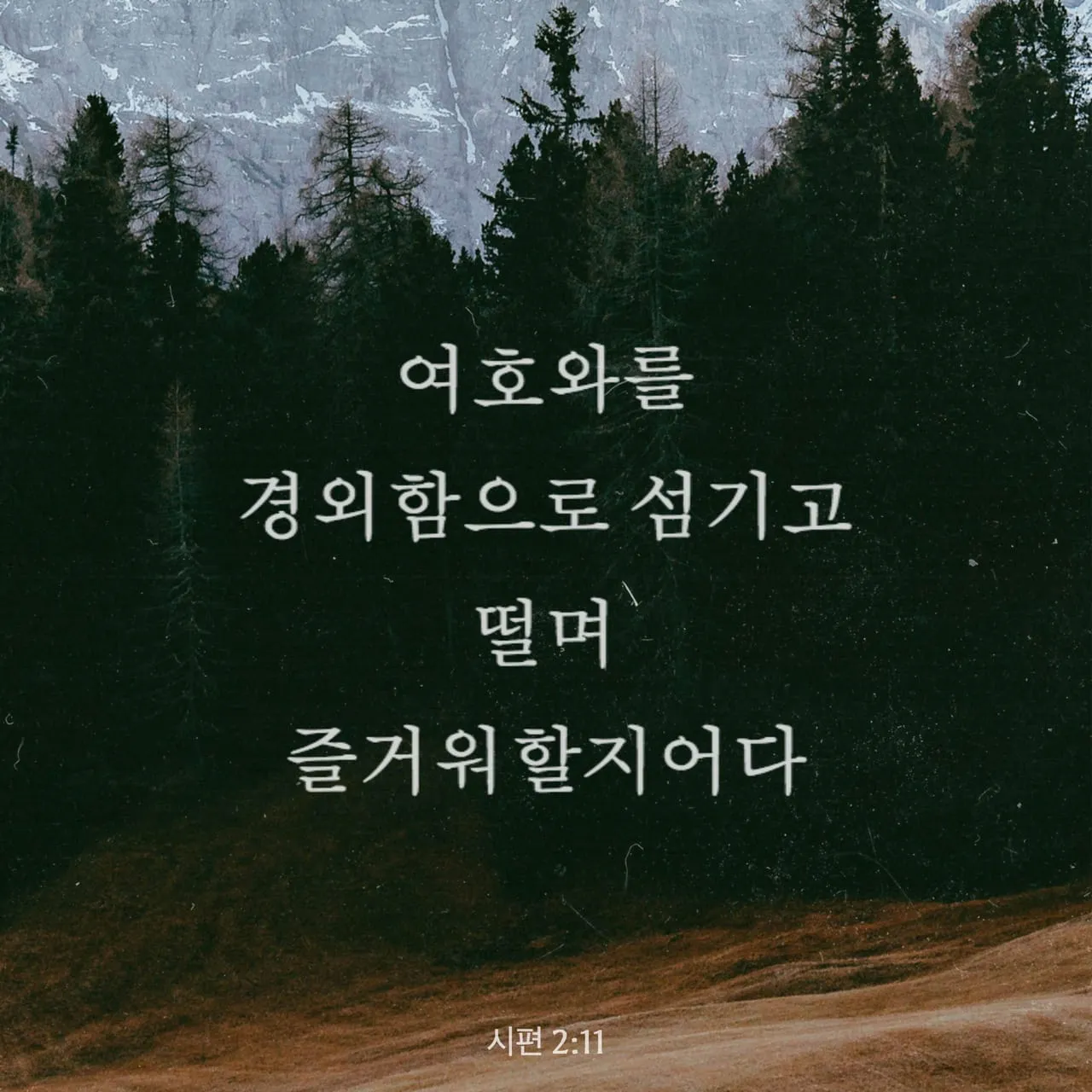 시편 29장 11절 읽기 - 여호와께서 자기 백성에게 힘을 주심이여 여호와께서 자기 백성에게 평강의 복을 주시리로다_7