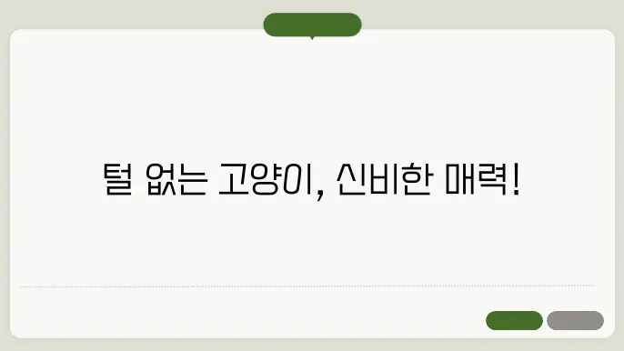 털없는 고양이 종류