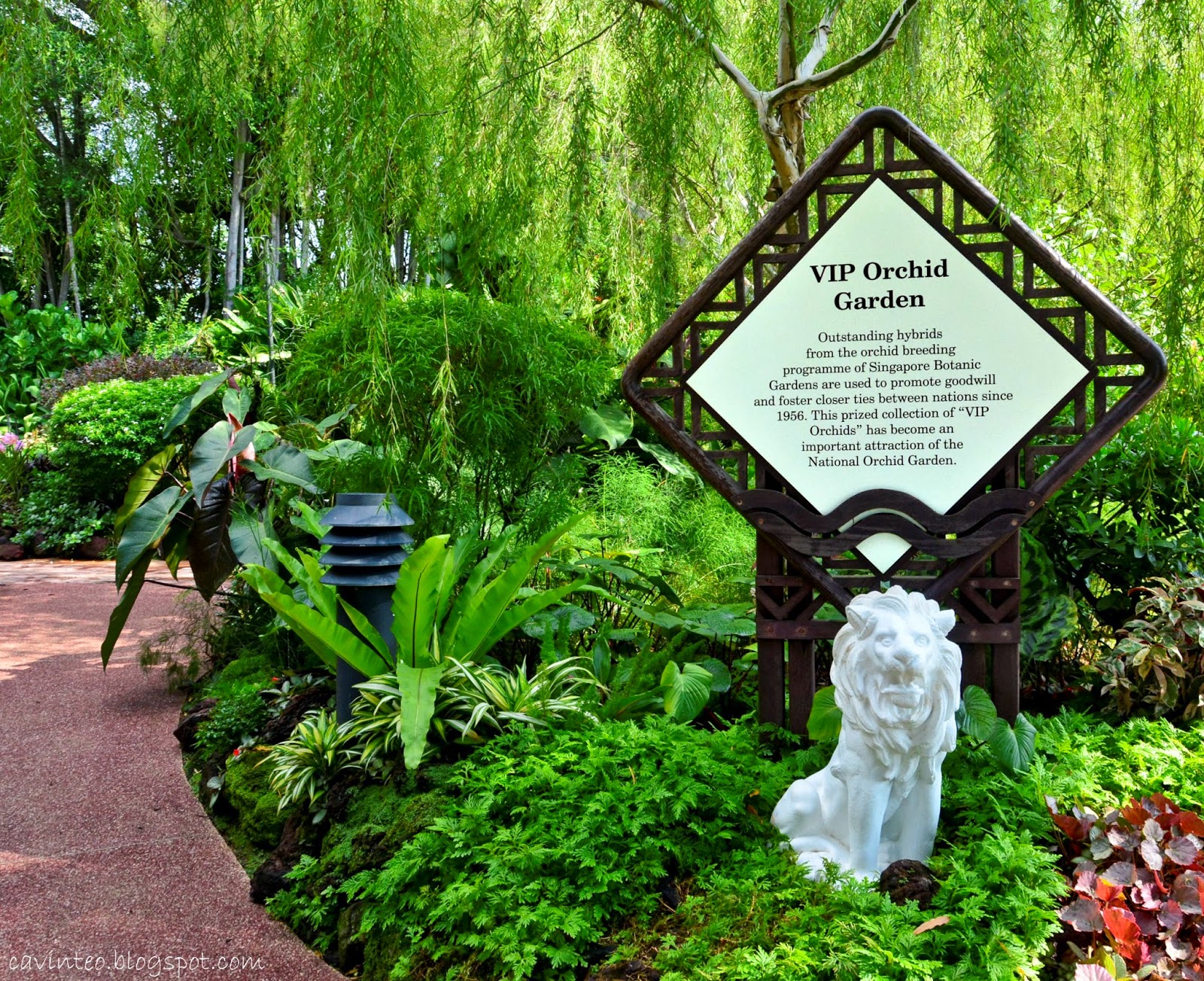 VIP 난초 가든(The VIP Orchid Garden)