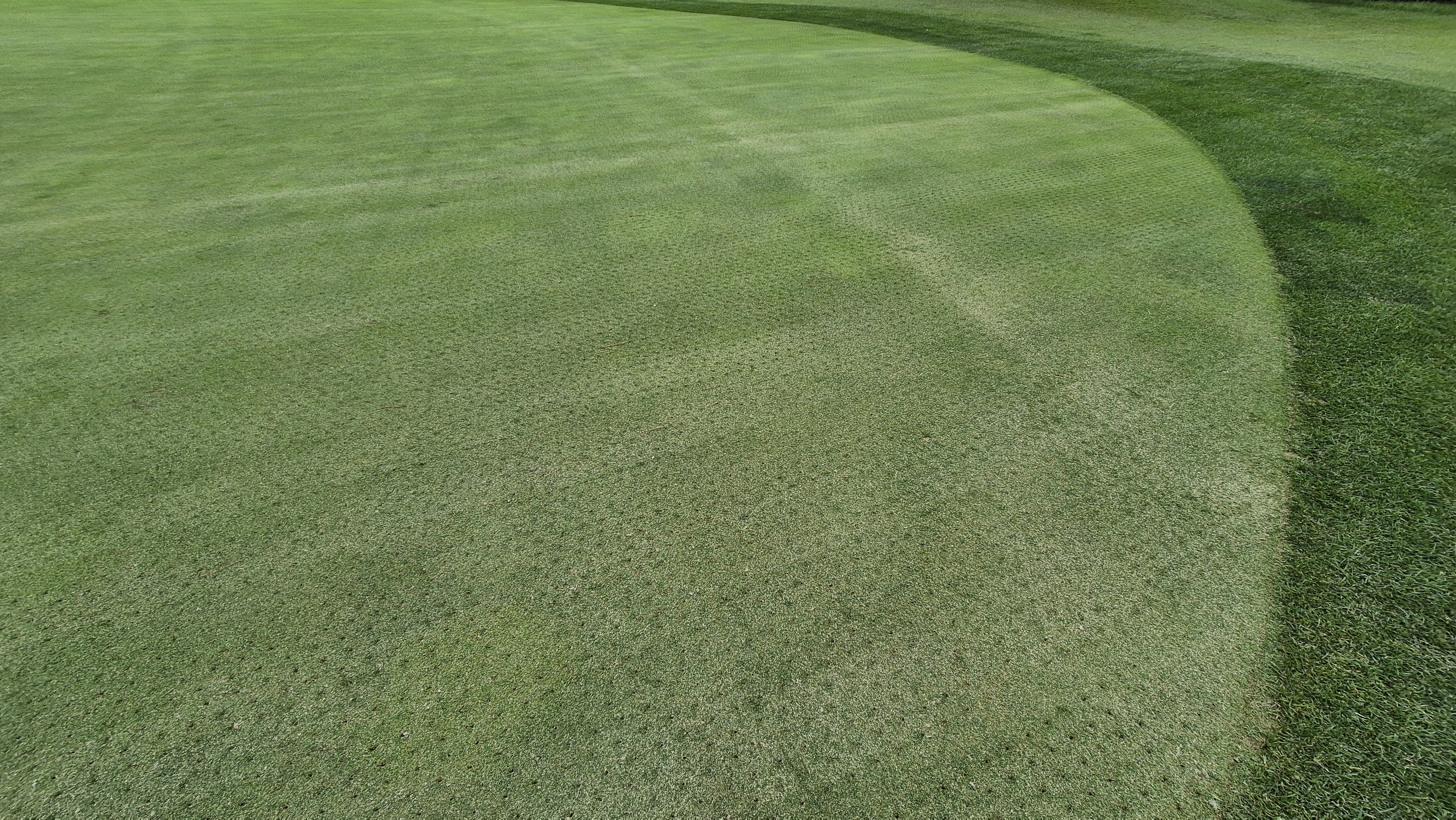 파인스톤cc 그린 관리 상태