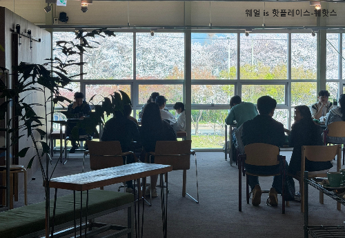 히떼로스터리 강서점 벚꽃 뷰