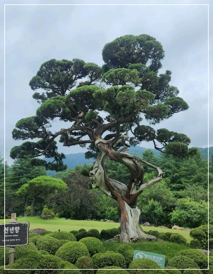 가평 가볼만한곳 베스트10 아침고요수목원