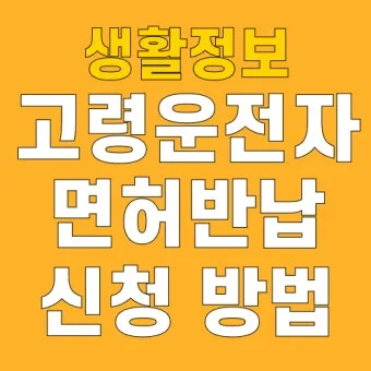 운전면허 반납 혜택 교통비 지원 대체교통 안전 이동법_20