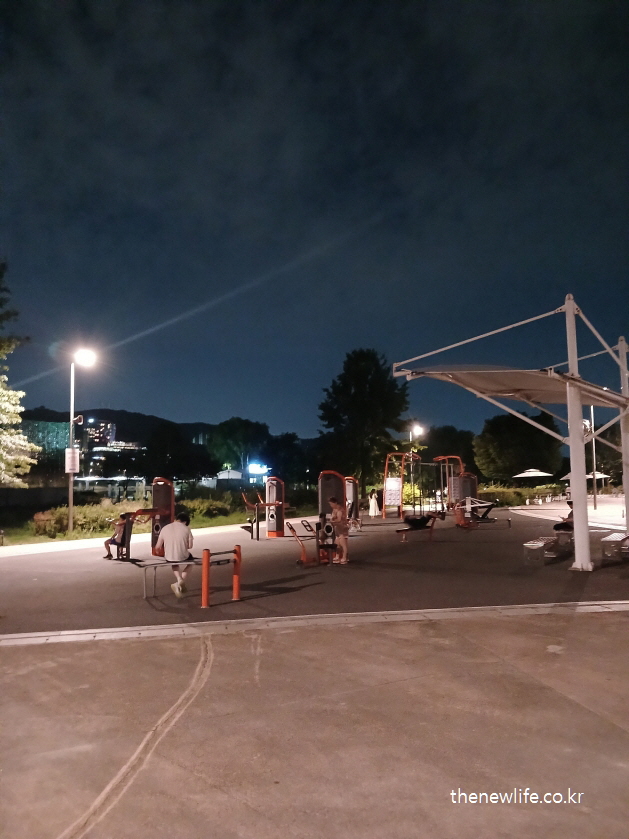 고수부지 야외 헬스장에 다양한 운동기구와 하체근력 운동 장비가 비치되어 있고, 사람들이 운동 중인 모습