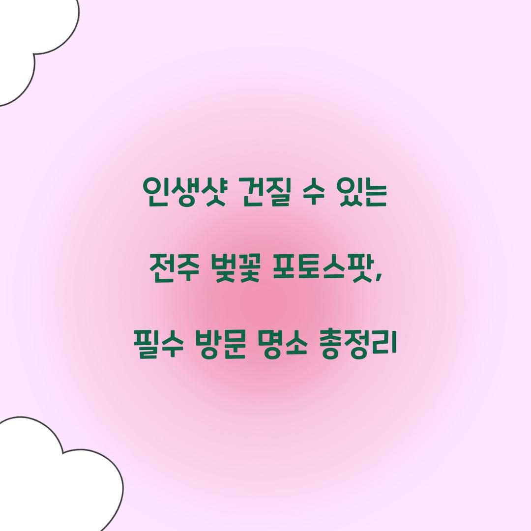 인생샷 건질 수 있는 전주 벚꽃 포토스팟