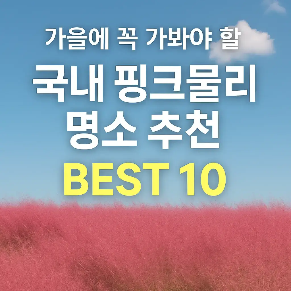 국내 핑크뮬리 명소 추천