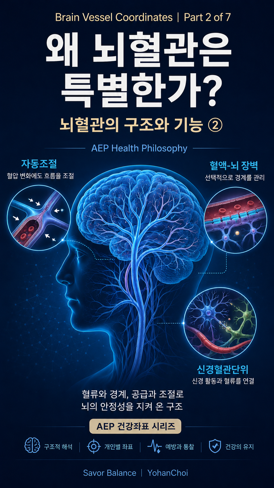 Vertical educational infographic for “Brain Vessel Coordinates, Part 2 of 7,” showing a glowing blue human head with detailed cerebral blood vessels. Three circular diagrams illustrate cerebral autoregulation, the blood-brain barrier, and the neurovascular unit, explaining how brain blood flow, protective boundaries, and neural activity work together to maintain brain stability.