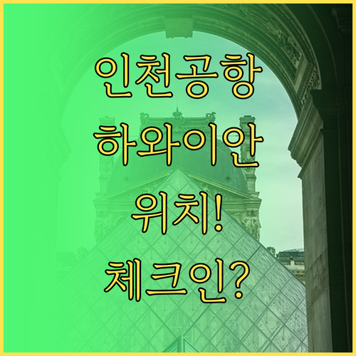 인천공항 하와이안 항공 D19에서 D..