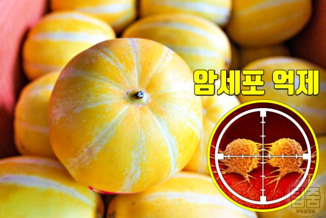 참외 효능 항암 참외꼭지 효능 참외부작용 하루섭취량