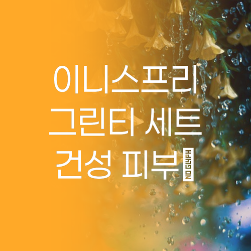 이니스프리 그린티 스킨케어 세트 솔직