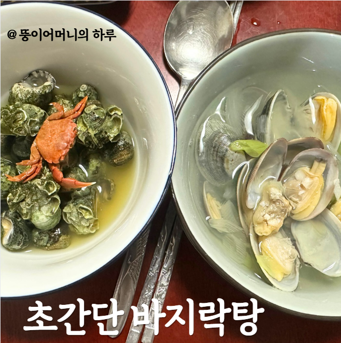 Super Simple Clam Soup Recipe(Healthy clam soup, fresh clams and horn snails, ultra-simple and light, full of rich ocean flavor, mudflat experience in Muchangpo, Boryeong, South Chungcheong, boiling horn snails and small clams, healthy homemade meal, easy soup recipe)