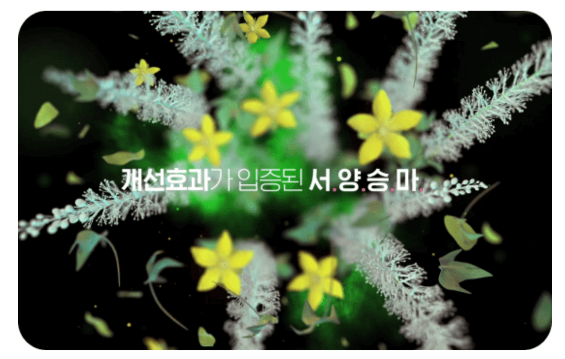훼라민Q 성분