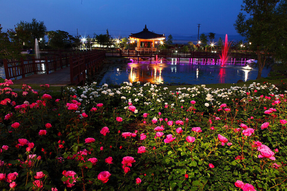 곡성세계장미축제