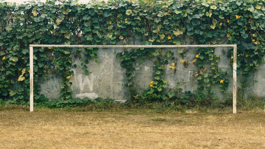 Penalty