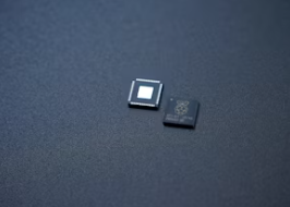 2025년 삼성전자 배당금 지급일 기준일 주가 전망