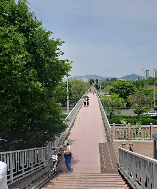 선유도까지 이어진 다리