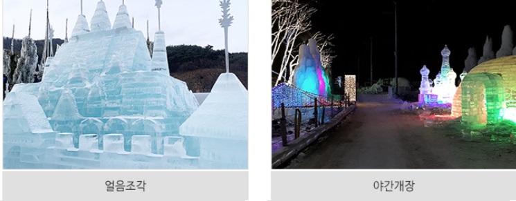 청양알프스마을 축제