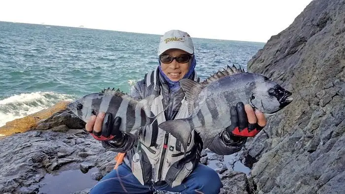 먹자 포구 돌돔 자연산 대물 돌돔회 전남 순천 맛집 추천