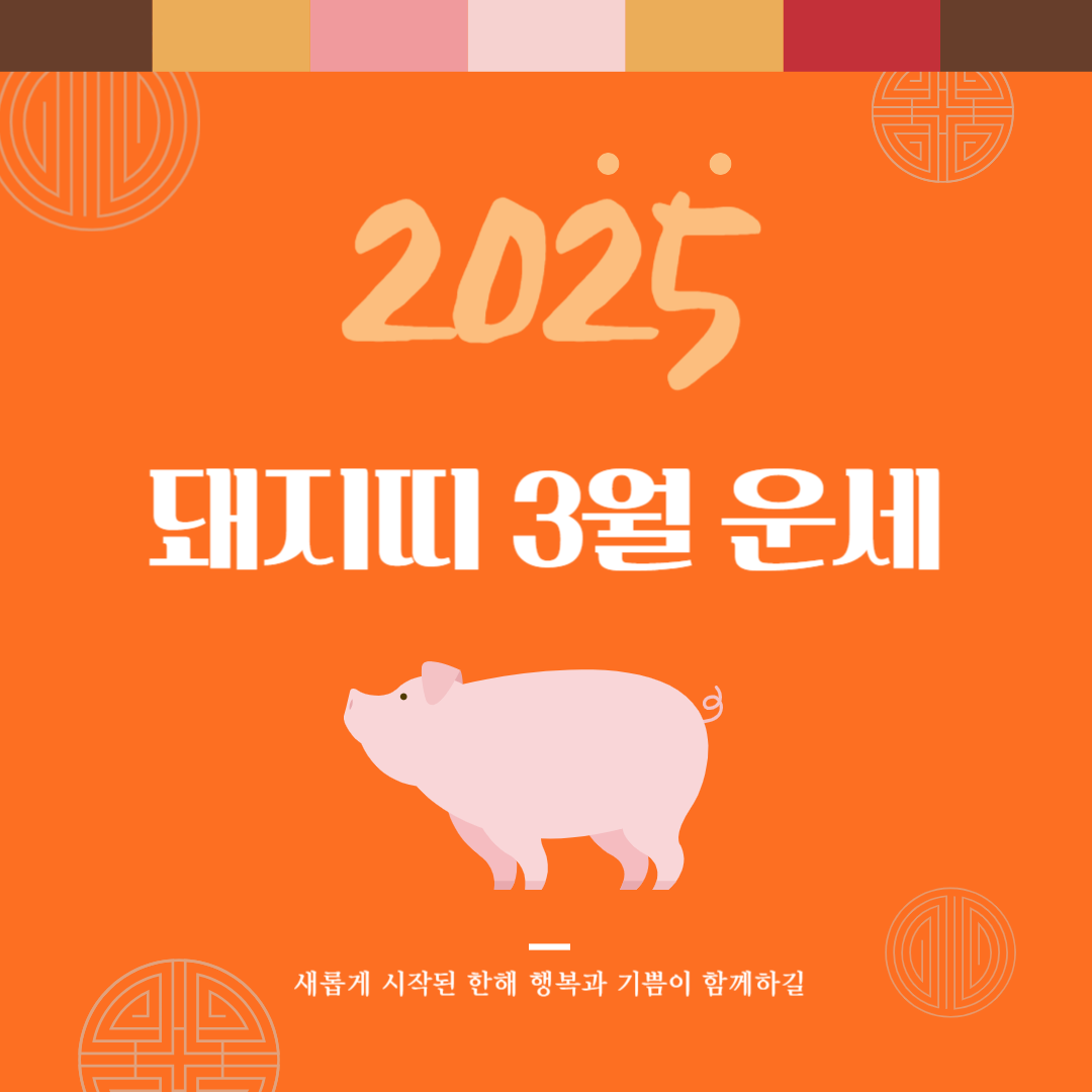 2025년 을사년 『돼지띠』 3월 운세