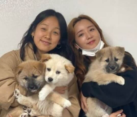 이효리 핸드크림